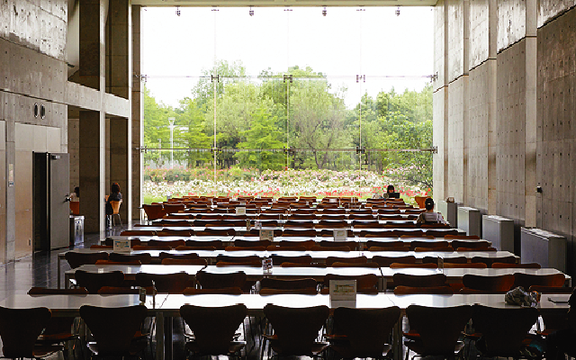 学食体験