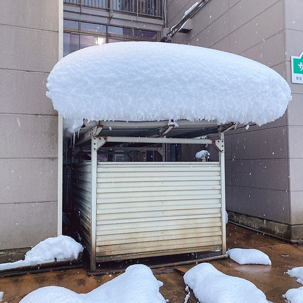 駐輪場の屋根に積もった雪