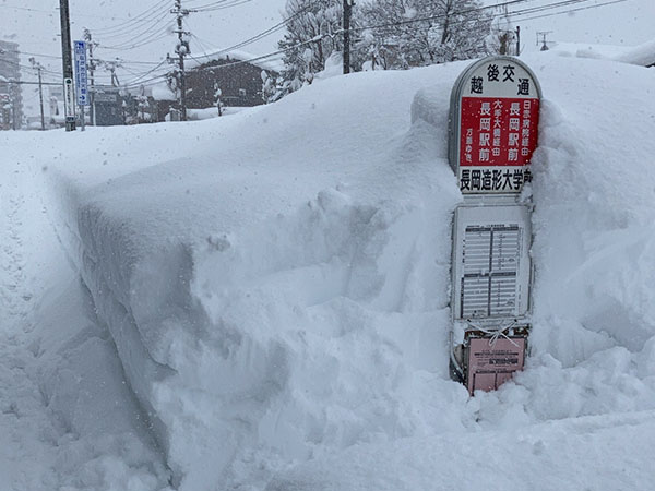 雪に埋もれるバス停